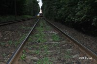 Śmiertelne potrącenie na szlaku kolejowym Rybnik - Katowice