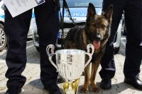 zbliżenie na puchar. w tle pies i nogi policjantów