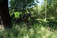 Żołnierze Wojsk Obrony Terytorialnej podczas poszukiwań zaginionego mężczyzny.