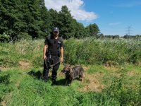 Policjant wraz z psem służbowym podczas akcji poszukiwawczej.