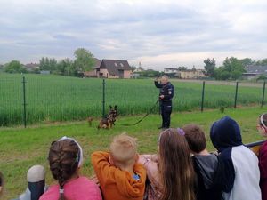 Policjant prezentuje umiejętności psa służbowego.