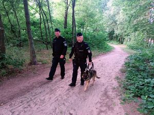 Policjanci patrolują rejony leśne.