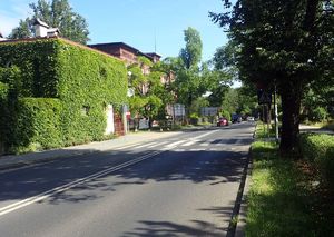 Rybnik, ulica Gliwicka. Miejsce potrącenia pieszej na oznakowanym przejściu dla pieszych.