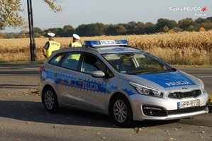 Policjanci z Wydziału Ruchu Drogowego podczas kontroli.