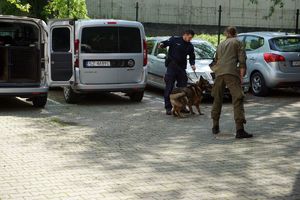 Jeden z uczniów jest pozorantem. Pokaz przewodnika psa służbowego.