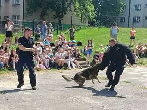 Policjanci podczas pokazu przewodnika psa służbowego.