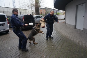 Policjanci pokazali w jaki sposób pies atakuje.