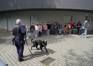 Na zdjęciu policjant - przewodnik  psa służbowego wraz ze swoim psem opowiada dzieciom o kontaktach z obcymi zwierzętami.