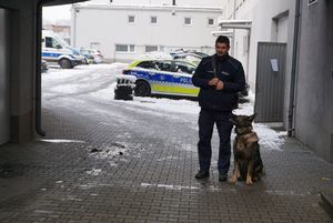 Na zdjęciu pokaz przewodnika z psem służbowym.