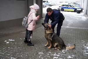 Na zdjęciu pokaz przewodnika z psem służbowym.