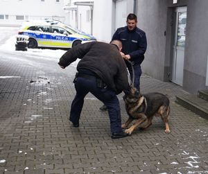 Na zdjęciu pokaz przewodnika z psem służbowym.