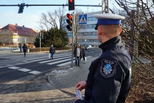 Na zdjęciu policjant ruchu drogowego, a w tle przejście dla pieszych.