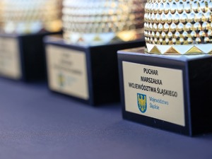 Na zdjęciu puchary.