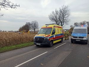 Na zdjęciu miejsce, gdzie doszło do wypadku śmiertelnego. Stanowice, ulica Żorska.