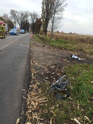 Na zdjęciu droga wojewódzka numer 924, gdzie doszło do wypadku śmiertelnego.