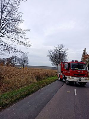 Na zdjęciu droga wojewódzka numer 924, gdzie doszło do wypadku śmiertelnego.