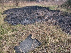 Na zdjęciu wypalone nieużytki.