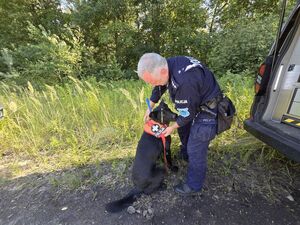 Na zdjęciu policjanci. Przewodnik psa służbowego wraz z psem.