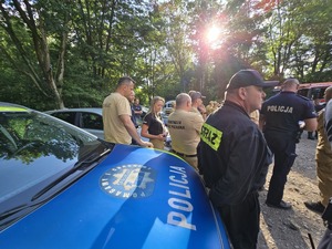 Na zdjęciu policyjny radiowóz.