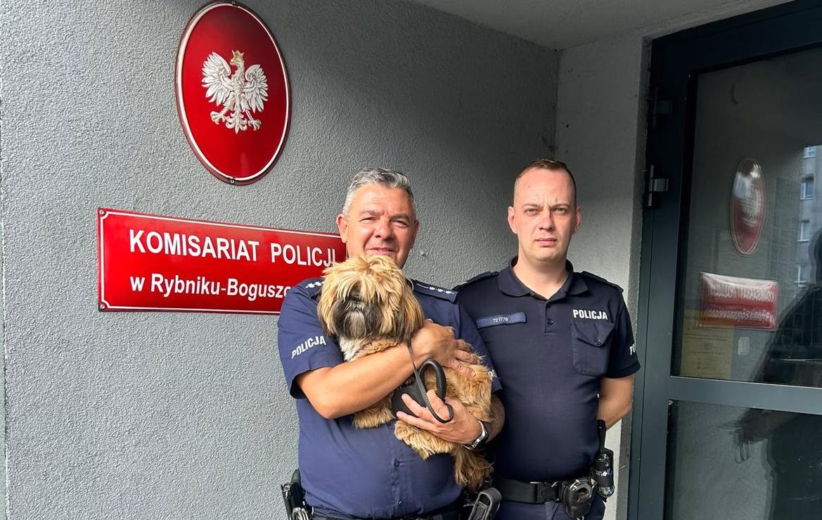 Policjanci uratowali psa przywiązanego do drzewa w Rybniku